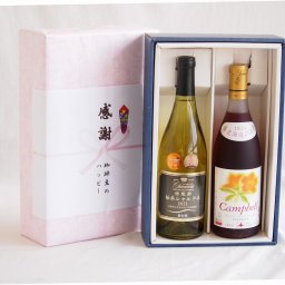 実りの秋の贈り物 感謝の贈り物ボックス山梨県勝沼甲州100%辛口白ワインと国産ワインセット(北海道の詩 プレミアムキャンベル赤ワイン 甘口(北海道)720mlグラン・シャンモリ山梨県勝沼甲州100%シュール・リー辛口白ワイン750ml