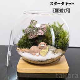 コケテラリウムキット 【雪遊び】 テラリウムキット コケテラリウム おしゃれ 贈り物 ガラスボウル コケインテリア 母の日ギフト コケテラリウム手作りキット 創作キット 苔インテリア 苔リウム コケリウム 作成キット お誕生日 おうち時間 ステイホーム