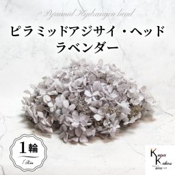 メール便で発送 大地農園！プリザーブドフラワー 「ソフトピラミッドアジサイ ラベンダー 1輪分」 プリザ アジサイ 紫陽花 花材 ハーバリウム おしゃれ かわいい プレゼント 贈り物 オオチノウエン ソフトピラミッドアジサイ・ヘッド