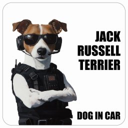 JACK RUSSELL TERRIER ジャックラッセルテリア DOG IN CAR カーステッカー 犬 セキュリティガード風 ちょい悪 13x13cm 正方形 防水 屋外 屋内 ドッグオンボード デカール