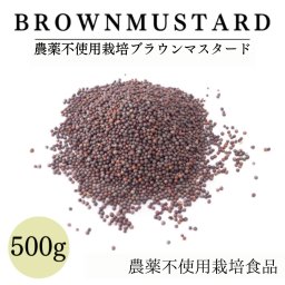 【送料無料】マスタード ブラウン 500g 【 農薬不使用栽培/北海道産 】 シード ホール   粒マスタード 辛子 からし ( 無添加 農薬不使用 ) 業務用 鎌倉てとら [ 鎌倉香辛料 ]