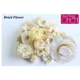 大地農園！ドライフラワー　15ｇ分　「ヘリクリサムヘッド　サイズアソート　白」プリザ　アジサイ　紫陽花 花材  ハーバリウム  おしゃれ かわいい プレゼント 贈り物　オオチノウエン プリザーブドフラワー