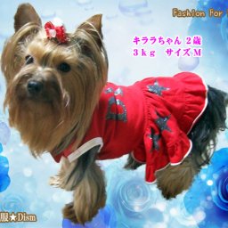 犬服 ワンピース☆DIVA（超小型犬）ドレス スカート