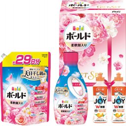 P&G ボールド 液体洗剤ギフトセット ／洗濯用洗剤 洗剤・柔軟剤・クリーナー 日用消耗品 日用品・ヘルスケア 敬老の日 プレゼント ギフト お彼岸 お供え 秋 2026 送料無料 ギフト プレゼント プチギフト 内祝い 快気祝い 出産祝い 結婚祝い 引出物 新築祝い お返し