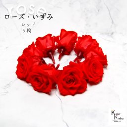 大地農園！プリザーブドフラワー 「ローズいずみ 9輪 レッド」プリザ 花材 ハーバリウム おしゃれ かわいい プレゼント 贈り物　オオチノウエン バラ 薔薇 ローズ rose
