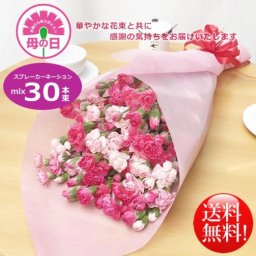 【母の日ギフト】華やかカーネーションミックス30本花束