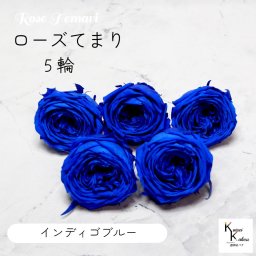 大地農園！プリザーブドフラワー 「ローズ・てまり インディゴブルー 5輪」 プリザ 花材 ハーバリウム おしゃれ かわいい プレゼント 贈り物　オオチノウエン バラ 薔薇 ローズ rose