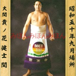 貴ノ花健士関　優勝ミニ額 大相撲ミニ額 大相撲優勝額　昭和５０年９月場所 優勝 大関 貴ノ花健士関（２回目の優勝） ※受注生産品のため、ご注文後はいかなる理由でも返品、返金はできません