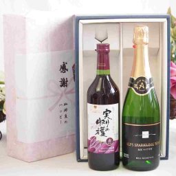 実りの秋の贈り物 感謝の贈り物ボックス 国産やや甘口赤ワインと国産ワインセット(塩尻ナイアガラスパークリング白ワインやや甘口(長野県)720mlヴィンテージ実りの収穫 赤ワイン720ml