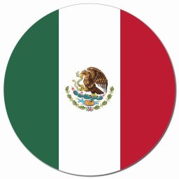 メキシコ 国旗 Mexico カーサイン 車 マグネットステッカー 給油口 マグネット 強力  直径13cm 丸型 National Flag 応援グッズ 看板 目印 店舗 レストラン 飲食店 デコ おしゃれ かわいい 屋外 屋内 防水 