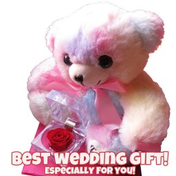 結婚祝い 友人 友達 レインボーベアー入り 花 クリスタル風ケース 赤バラ 