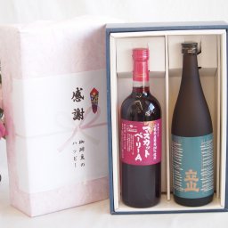 実りの秋の贈り物 感謝の贈り物ボックス プレミアムな日本酒立山と国産ワインセット(山梨県産葡萄100％使用 マスカットベーリーA赤ワイン ライトボディ(山梨県)720ml立山特別本醸造(富山県)720ml