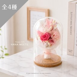  ワルツ　プリザーブドフラワー  ガラスドーム　ミニブーケ ドライフラワー 11時まで即日出荷  ローズ ギフト プレゼント 誕生日 母の日 おしゃれ 結婚 記念日 結婚祝い お祝い ノベルティ 記念品 卒業 卒園 離任 退職 開店 新築 プロポーズ 告白 お供え お悔み ペットハナミーツ