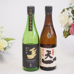 地酒純米酒特集2本セット(早川酒造 天一 純米酒(三重県) 金鯱 夢吟香 純米酒(愛知県)) 720ml×2本