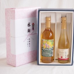 実りの秋の贈り物 感謝の贈り物ボックス 沖縄産パイナップル辛口白ワインと国産ワインセット(信州りんごシードルワインやや甘口(長野県)500mlラグリマ・デル・ソル辛口白ワイン 720ml