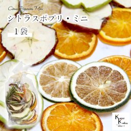 大地農園！ プリザーブドフラワー 「シトラスポプリ ミニ 1袋(65g)」 フルーツ プリザ 果物 オレンジ アップル 装飾 ハーバリウム おしゃれ かわいい プレゼント 贈り物 オオチノウエン