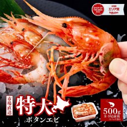 ボタンエビ 特大 2L 1kg 500g×2個セット 刺身用 北海道 ぼたん海老 卵子持ち ギフト 母の日 海鮮丼 手巻き寿司 御祝 内祝 お寿司 BBQ 新鮮 【冷凍】 お取り寄せ