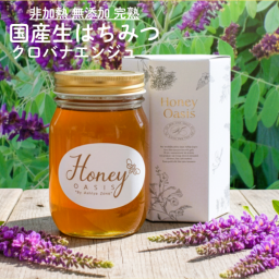 国産はちみつ クロバナエンジュ 500g はちみつ 非加熱はちみつ 純粋はちみつ ハチミツ 完熟 無農薬 はちみつレモン はちみつ紅茶 生はちみつ 天然 お取り寄せグルメ 美容 健康 抗菌 はちみつ 抗菌