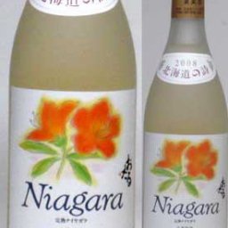 【 6本セット】北海道の詩　北海道産葡萄100％ おたる 完熟ナイヤガラ　　白ワイン（甘口）　720ｍｌ