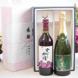 実りの秋の贈り物 感謝の贈り物ボックス 国産やや甘口赤ワインと国産ワインセット(おたる醸造 ナイアガラス白パークリングワインやや甘口(北海道)720mlヴィンテージ実りの収穫 赤ワイン720ml