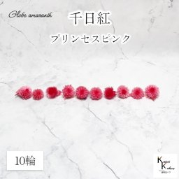 大地農園！プリザーブドフラワー 　10輪【千日紅　センニチコウ プリンセスピンク】ヘッドのみ　プリザ　花材 ハーバリウム おしゃれ かわいい プレゼント 贈り物　オオチノウエン
