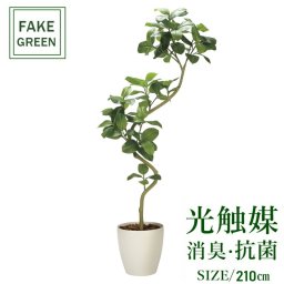 フェイクグリーン 人工観葉植物 ツイストアルテシマ2.1m(組立式) 2337a825 一部地域送料無料 光触媒 インテリア 代引き不可