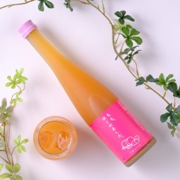 お中元 夏ギフト 【送料無料】【フルーツのお酒】もも梅酒 もも、はじめました。500ml 梅酒 桃 モモ リキュール 篠崎 ラッピング 熨斗 送料無料(北海道、沖縄を除く)
