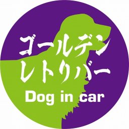 Dog in car ドッグインカー ステッカー カーステッカー ゴールデンレトリバー 毛筆書体 パープルグリーン シール 煽り運転対策 カーサイン