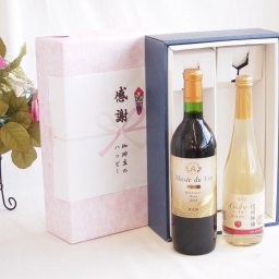 感謝の贈り物ボックス長野県塩尻市の名門ワイナリー赤ワインと国産ワインセット(信州りんごシードルワインやや甘口(長野県)500mlアルプスミュゼ ダイナスティ 塩尻メルロー2018赤ワイン