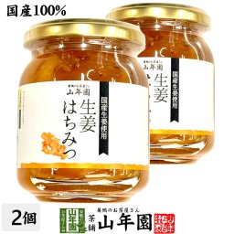 【国産生姜】養蜂家のはちみつ仕込み 生姜蜂蜜漬け 280g×2個セット 紅茶に入れて 豚の生姜焼き 煮物や豚肉を使った煮込み料理にも セット ギフト プレゼント プチギフト お茶 お歳暮 2026 内祝い お返し