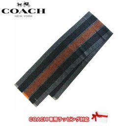 コーチ アウトレット COACH アパレル F86547 バーシティ スポーツ スカーフ マフラー FAZ(Orange/Fog)【メンズ】 【RCP】【楽天カード分割】