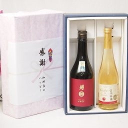 冬の贈り物お歳暮 感謝の贈り物ボックス 清涼感ある南部美人と国産ワインセット(信州りんごシードルワインやや甘口(長野県)500ml日本酒南部美人特別純米 (岩手県)720ml