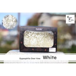 大地農園！プリザーブドフラワー 約5g分【カスミソウ　オーバータイム　白】プリザ　カスミ草　カスミソウ 花材 ハーバリウム おしゃれ かわいい プレゼント 贈り物　オオチノウエン