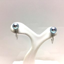 真珠 イヤリング パール アコヤ真珠 5.0-5.5mm シルバーブルー K14 ホワイトゴールド 66914 イソワパール