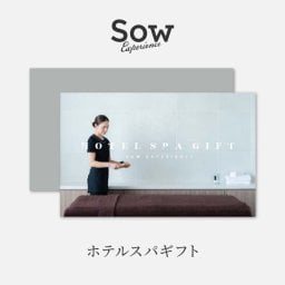 ホテルスパギフト（ソウエクスペリエンス）SPA カタログギフト お祝い 大切な人 お返し カタログ 記念日 誕生日 贈り物 友人 プレゼント ギフト 父の日 2026 プレゼント