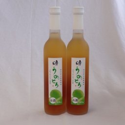 完熟梅の味わいと日本酒のうまみをたっぷりの梅リキュール 500ml×2本