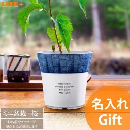 名入れ ギフト 盆栽 新築祝い 開店祝い オシャレ 観葉植物 カワイイ 退職祝い おしゃれ 就職祝い お洒落 周年記念 贈り物 送別会 プレゼント 記念品 開業祝い ?和カフェ 友達 店名入り 友人 可愛い かわいい 文字入れ 名前入り グリーン 和物 和風 染付小紋盆栽セット 桜