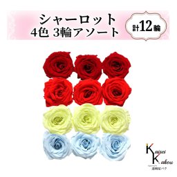 大地農園！プリザーブドフラワー「シャーロット 4色×3輪アソート 計12輪」「クイーンレッド レッド フレッシュグリーン ベビーブルー」プリザ 花材 ハーバリウム おしゃれ ピンク バラ かわいい プレゼント 贈り物 オオチノウエン