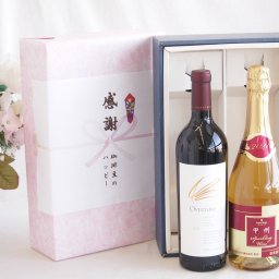 冬の贈り物お歳暮 感謝の贈り物ボックス 究極のナパ・ブレンド オーヴァチャーと国産ワインセット(甲州スパークリング 白ワインやや辛口(山梨県)720mlオーヴァチャー 2021赤ワイン カリフォルニアワイン 750ml