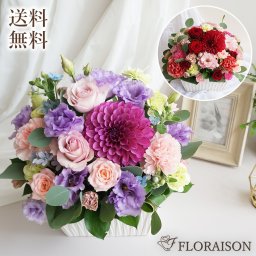 【冷蔵便】 ダリア バラ アレンジメント敬老の日 誕生日お祝い 結婚記念日 開店祝い 古希祝い 還暦 花ギフト フラワーアレンジメント おばあさん 母 お母さん