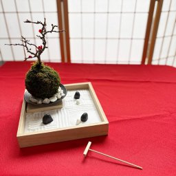 縮景を楽しむ。枯山水 玉砂利 小サイズ + 紅長寿梅苔玉・器セット