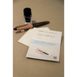 【万年筆ビュッフェ ギフトカード 】万年筆 セーラー プレゼント ギフトカード オーダーメイド 万年筆 インク おしゃれ 退職祝い セーラー万年筆 日本製 ペン 書きやすい 筆記用具 筆記具 文房具 贈答用 記念品 誕生日プレゼント ビジネス 文具 ギフト 高級文具 特別 日記【送料無料】