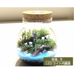 【送料無料】母の日 父の日 テラリウムキット 牧場 LEDライト内臓蓋 コケテラリウム おしゃれ 贈り物 ガラスボウル コケインテリア 母の日ギフト コケテラリウム手作りキット 創作キット 苔インテリア 苔リウム コケリウム 作成キット お誕生日 おうち時間 ステイホーム