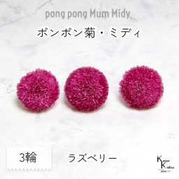 大地農園！ プリザーブドフラワー 「ポンポン菊・ミディ ラズベリー 3輪」プリザ ドライフラワー 花材 装飾 ハーバリウム おしゃれ かわいい プレゼント 贈り物 オオチノウエン
