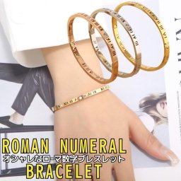 ローマ数字 ブレスレット バングル レディース 腕輪 ワンポイント サージカル シンプル チタン アクセサリー ファッション小物 プレゼント ギフト クリスマス おしゃれ プレゼント シンプル おしゃれ ポイント消化