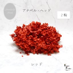 メール便で発送 大地農園！プリザーブドフラワー 「ソフトアナベルアジサイ レッド 2輪分」 プリザ アジサイ 紫陽花 花材 ハーバリウム おしゃれ かわいい プレゼント 贈り物 オオチノウエン アナベルアジサイ・ヘッド