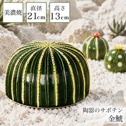 SERA SABO 陶器のサボテン 金鯱 単品 ( 即日発送 敬老の日 プレゼント 置物 オブジェ 庭 フェイクグリーン ロックガーデン インテリア 多肉 植物 美濃焼 周年 創立 上場 竣工 誕生日プレゼント 還暦祝い 古希 喜寿 米寿 退職 定年 プレゼント お祝い お返し お礼 ) 