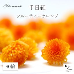 大地農園！プリザーブドフラワー 　90輪【千日紅　センニチコウ フルーティーオレンジ】ヘッドのみ　プリザ　花材 ハーバリウム おしゃれ かわいい プレゼント 贈り物　オオチノウエン