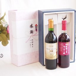 感謝の贈り物ボックス長野県塩尻市の名門ワイナリー赤ワインと国産ワインセット(山梨県産葡萄100％使用 マスカットベーリーA赤ワイン ライトボディ(山梨県)720mlアルプスミュゼ ダイナスティ 塩尻メルロー2018赤ワイン