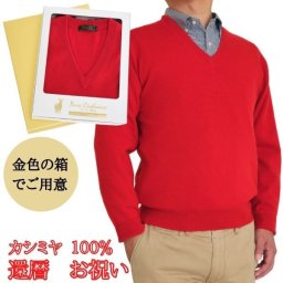 還暦 祝い カシミヤ 100% Vセーター メンズ 還暦 御祝 ちゃんちゃんこ の代わりに 赤 V首 Vネック ニット セーター カシミア 還暦 男性 お祝い ギフト プレゼント熨斗対応 のし宛書 702 ニット 送料無料